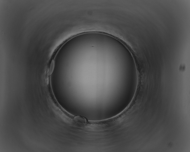 X0000091661510200708301428