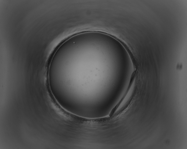 X0000091661511200708301428