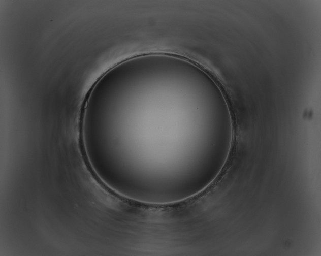 X0000091661512200708301428