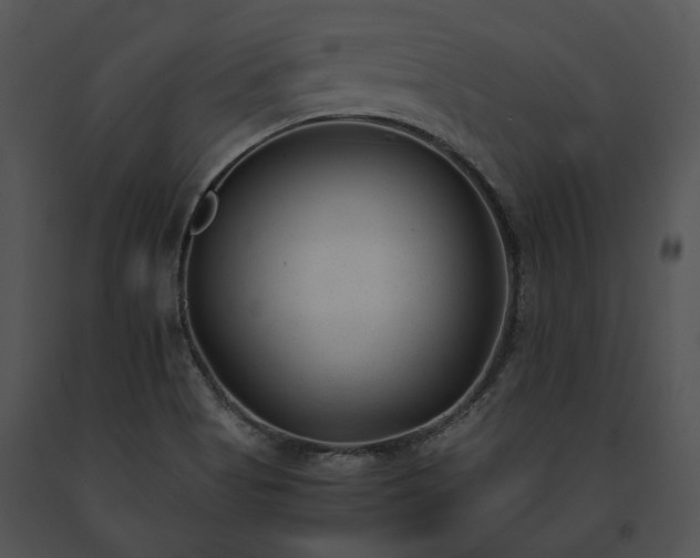 X0000091661513200708301428