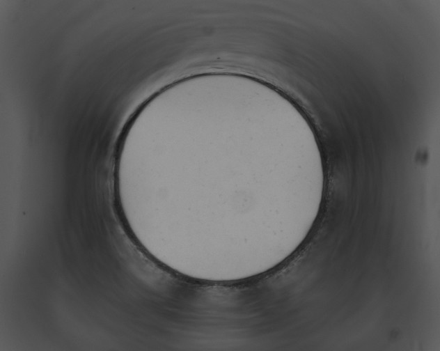 X0000091661514200708301428