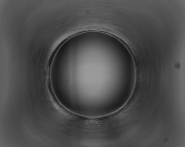 X0000091661515200708301428