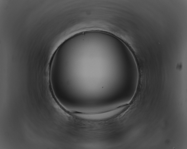 X0000091661516200708301428