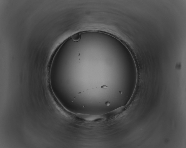 X0000091661517200708301428