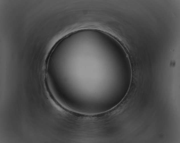 X0000091661519200708301428