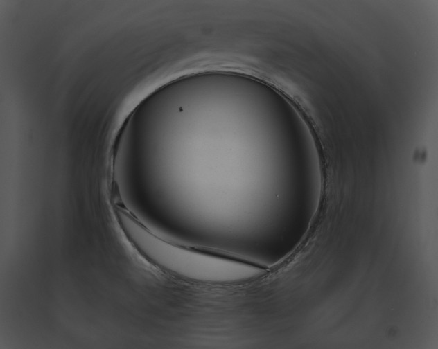 X0000091661520200708301428