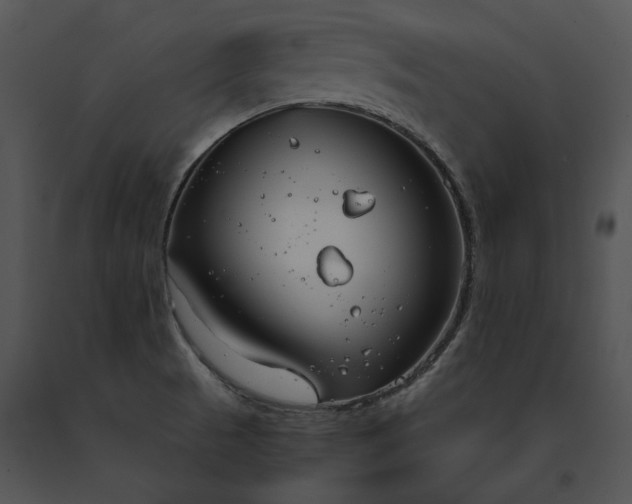 X0000091661521200708301428