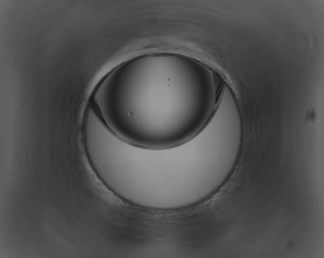 X0000091661522200708301428