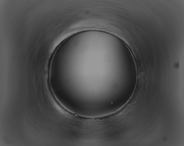X0000091661523200708301428