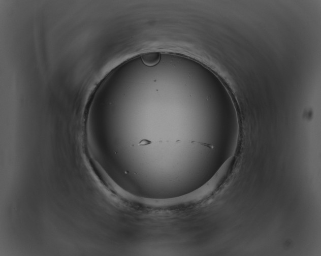 X0000091661525200708301428