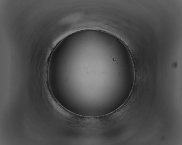 X0000091661526200708301428