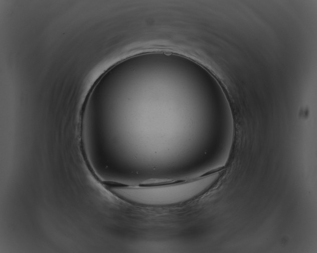 X0000091661527200708301428