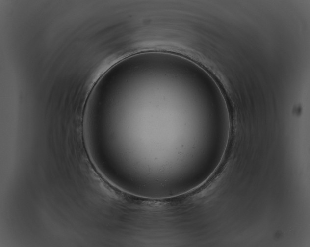 X0000091661529200708301428