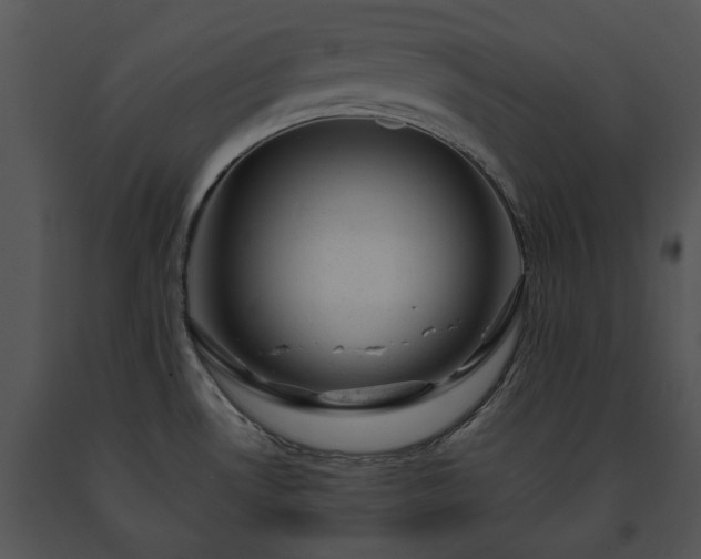 X0000091661530200708301428