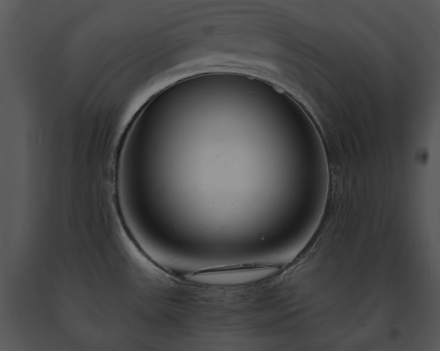 X0000091661531200708301428