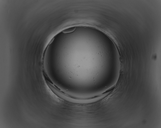 X0000091661532200708301428