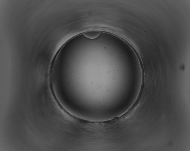 X0000091661533200708301428