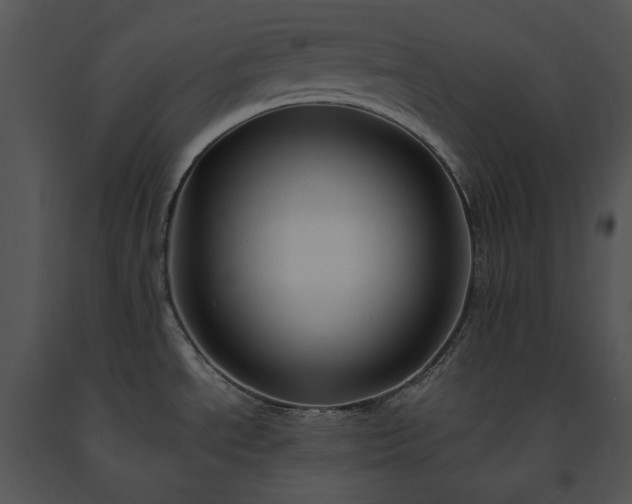 X0000091661534200708301428