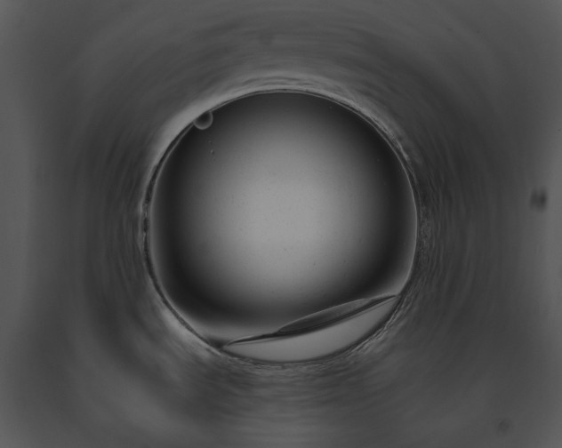 X0000091661535200708301428