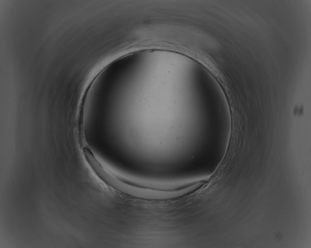 X0000091661536200708301428