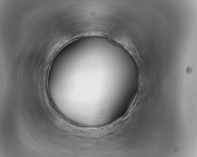 X0000091660001200709061031