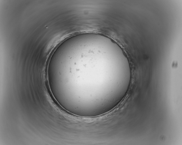 X0000091660002200709061031