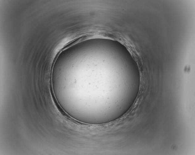 X0000091660003200709061031