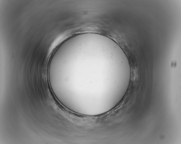 X0000091660004200709061031