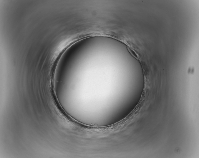 X0000091660005200709061031