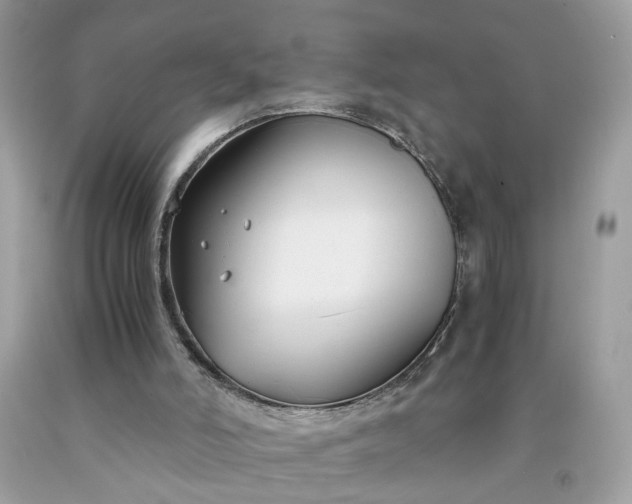 X0000091660006200709061031