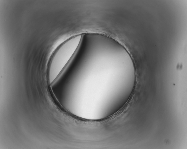 X0000091660008200709061031