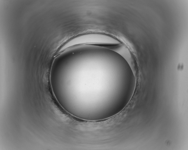 X0000091660009200709061031