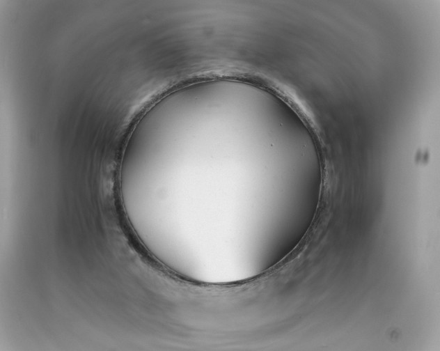 X0000091660010200709061031