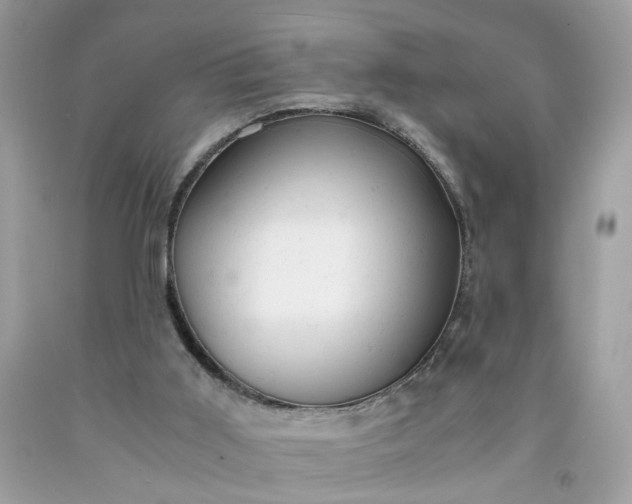 X0000091660011200709061031