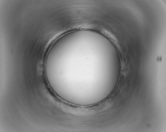 X0000091660012200709061031