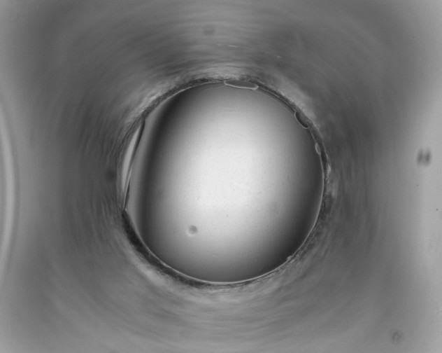 X0000091660013200709061030