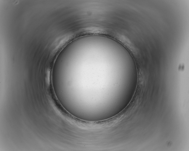 X0000091660014200709061030