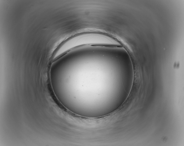 X0000091660015200709061030