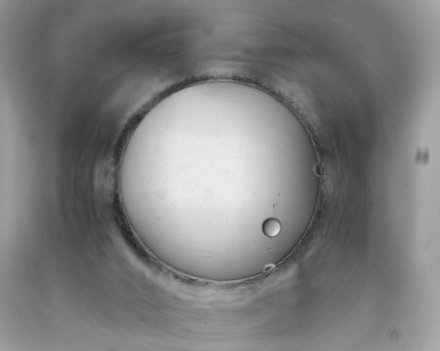 X0000091660016200709061030