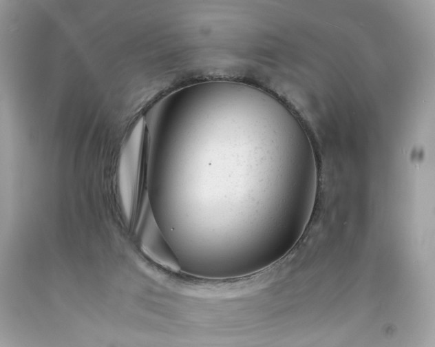 X0000091660017200709061030