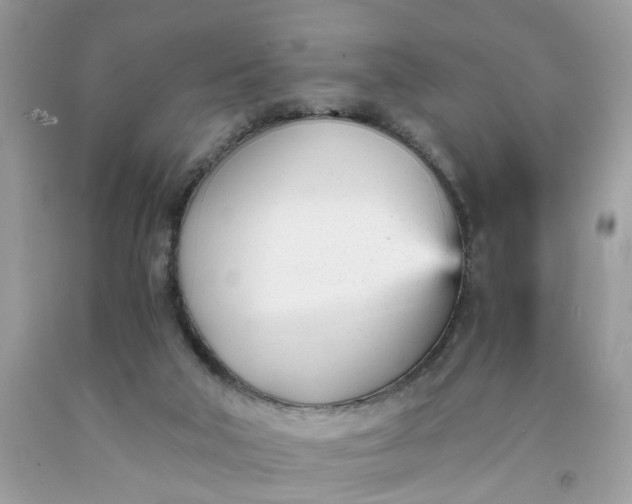 X0000091660018200709061030