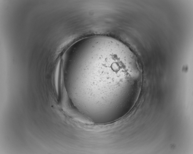 X0000091660019200709061030