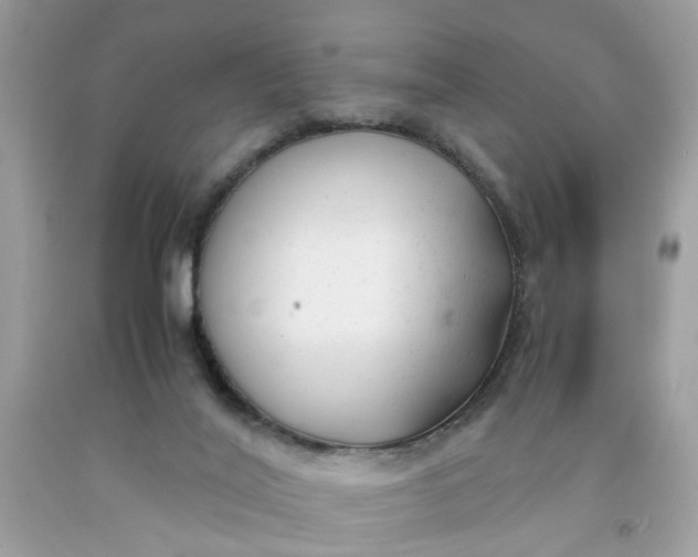 X0000091660020200709061030