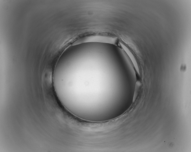 X0000091660021200709061030