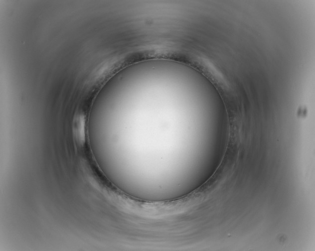 X0000091660022200709061030