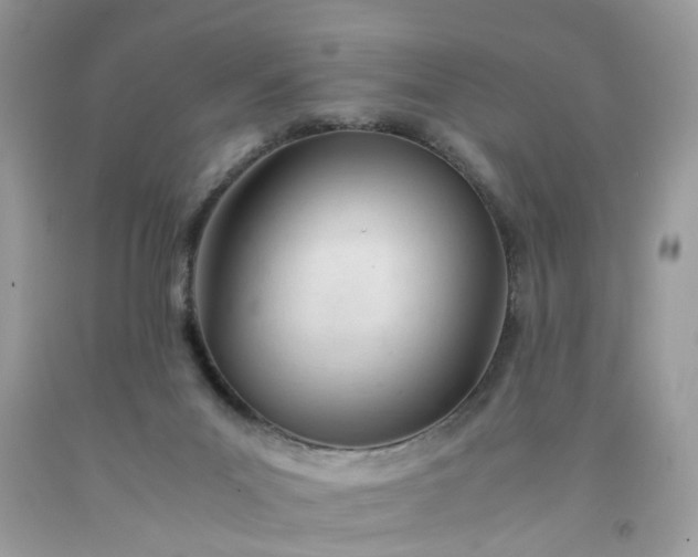 X0000091660023200709061030