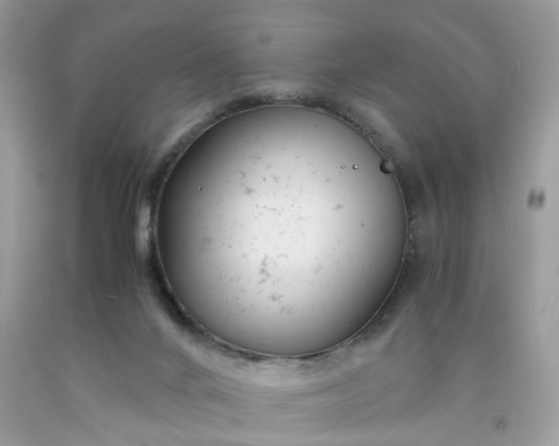 X0000091660024200709061030