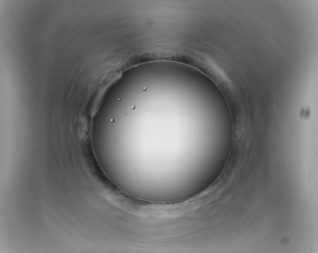 X0000091660025200709061030