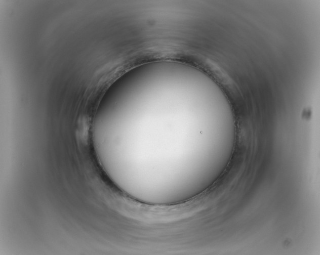 X0000091660026200709061030