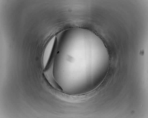 X0000091660027200709061030